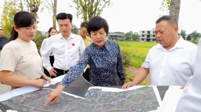 通城县领导调研督办2023年省市重点项目建设及下半年重点工作进展情况
