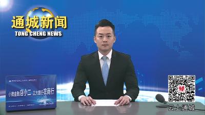 视频-中共通城县委农村工作领导小组暨通城县巩固拓展脱贫攻坚成果同乡村振兴有效衔接领导小组2023年第三次专题会商会召开