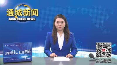 视频-通城县2023年第三次府院联席会议召开 