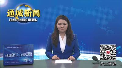 视频-通城县召开在隽挂职专家人才座谈会 