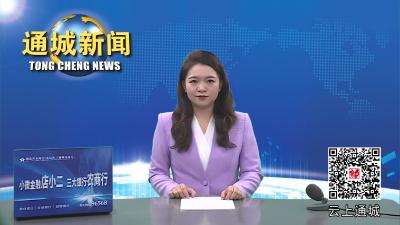 视频-投资5亿元！3C智能电子产品模块和新能源汽车充电桩项目落户通城 