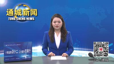 视频-【平安通城】警惕：打电话一声不吭就能赚钱？通城县马港镇多名学生被骗