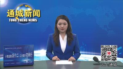 视频-全市“拼搏赶超”2023年第5次会议召开 