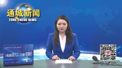 视频-通城县创文办督查社区及周边环境卫生