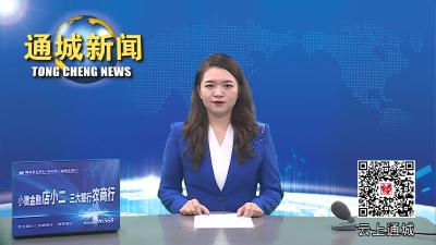 视频-通城县关刀镇召开驻村工作组乡村振兴业务培训会 