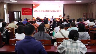 视频-通城县民政局举办全县社区社会组织能力提升培训班 