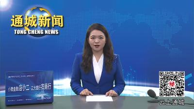 视频-市人大常委会副主任胡春雷来通城调研县域供销流通服务网络建设工作 