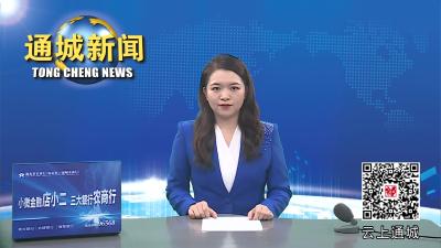 视频-中共通城县委十五届四次全体会议暨全县经济工作会议举行 