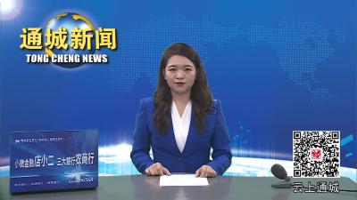 视频-市关工委来通城开展党史国史教育基地选址调研工作 