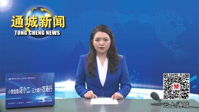 视频-【学思想 强党性 重实践 建新功】通城县委主题教育领导小组办公室第一次主任会议暨主题教育业务培训会召开
