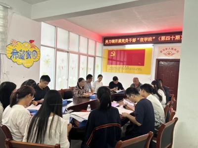 通城县关刀镇：现场“教学”为青年干部成长赋能
