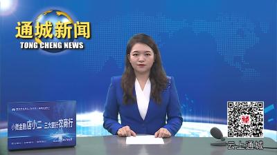 视频-通城县巿场监管局：开展商业秘密保护培训 赋能企业高质量发展 