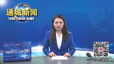 视频-咸宁市改革现场评比组来通城考察调研