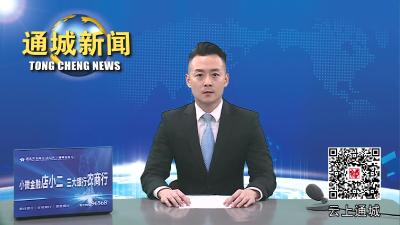 视频-通城县召开病媒生物防制工作汇报与质量技术评估反馈会 