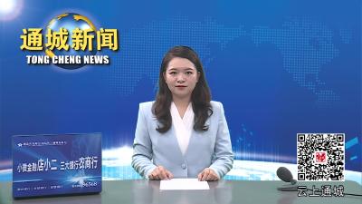 视频-刘中英调研督办2023年中国农民丰收节咸宁主会场活动筹备工作 