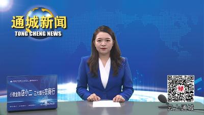 视频-通城县召开2023年全省营商环境评价工作推进会 