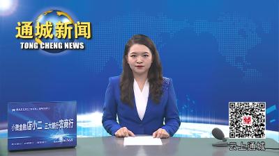 视频-通城县委常委会2023年第17次会议召开 
