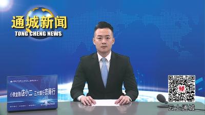视频-通城县2023年第2次县“四大家”联席会议召开 
