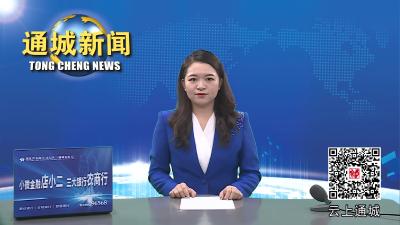视频-市委依法治市办到通城开展法治建设“十四五”规划中期评估暨2023年法治建设实地督察 