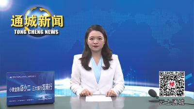 视频-通城县召开枫树河四庄河生态清洁小流域工程建设专题会议 