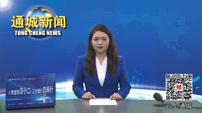 视频-通城：七旬老人乘车遗失看病钱 好司机拾金不昧获点赞 