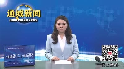 视频-通城县人民政府与中国广核集团举行平等抽水蓄能电站项目合作开发签约仪式 