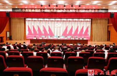 中国共产党通城县第十五届委员会第四次全体会议公报
