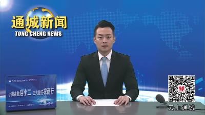 视频-通城县召开2023年三季度经济形势分析暨投资和项目建设工作推进会 