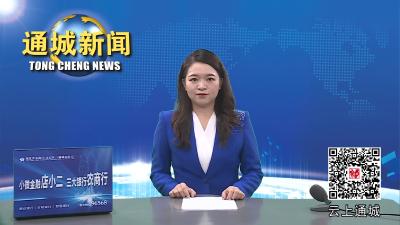 视频-通城县召开城市更新项目建设矛盾调处分工包保动员会 