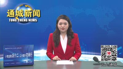 视频-守护母亲河！通城水利系统开展城区洁河志愿活动 