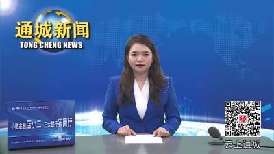视频-【聚焦丰收节】通城：网红主播庆丰收 直播带货助振兴 