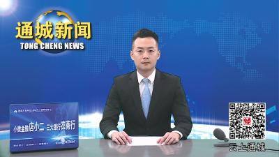 视频-杨修伟督办拟投产重点项目建设工作 