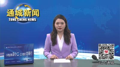 视频-通城县部署全县文化和旅游资源普查试点工作 