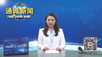 视频-通城县委平安通城建设领导小组第四次全会（扩大）暨信访工作会议召开 