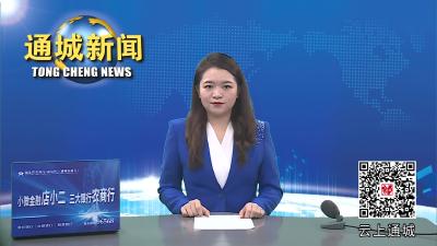 视频-通城：幸福小区“精装修”  幸福生活“看得见”