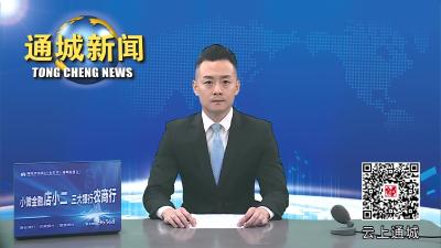 视频-【平安通城】通城县公安局打掉一家族式制贩毒团伙 