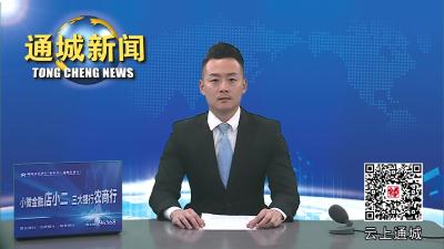视频-通城县第十九届人大常委会第十二次全体会议召开