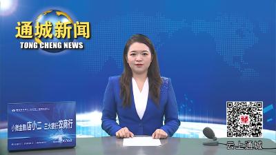 视频-通城县领导率队到深圳市招商考察