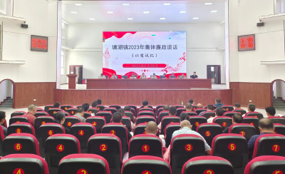 通城县塘湖镇召开2023年集体廉政谈话提醒会