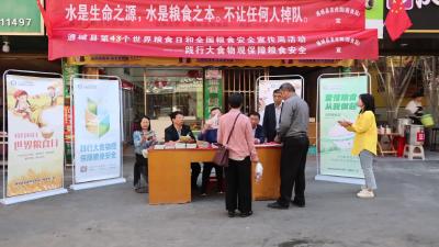 视频-通城县举行2023年世界粮食日和全国粮食安全宣传周活动