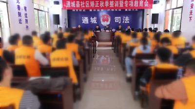 视频-通城县司法局开展社区矫正秋季整训及专项教育活动