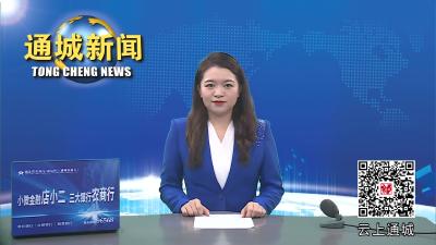 视频-通城县开展乡村振兴工作拉练检查活动