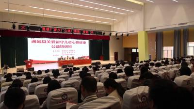 视频-通城县开展青少年心理健康服务技能培训 