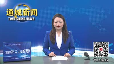 视频-【优化营商环境】为企业追回540万元货款  通城公安助企服务获赞誉 