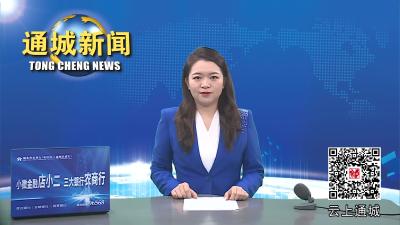 视频-通城县开展“10.13”国际防灾减灾日活动