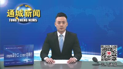 视频-通城县召开夏秋茶利用与开发工作座谈会 