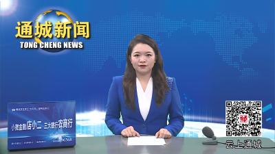 视频-通城县召开2023年度县域文明指数测评工作培训会 