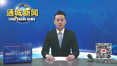 视频-通城县举行2023年少儿才艺展演 