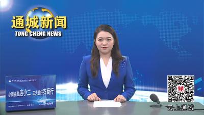 视频-通城县召开第五次全国经济普查单位清查工作督办推进会 