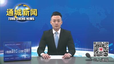 视频-通城县召开2024年重大项目谋划推进工作会 